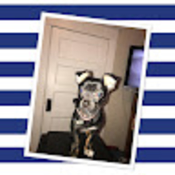 Meet your Posher, Dizzy - Picture 1 of 1